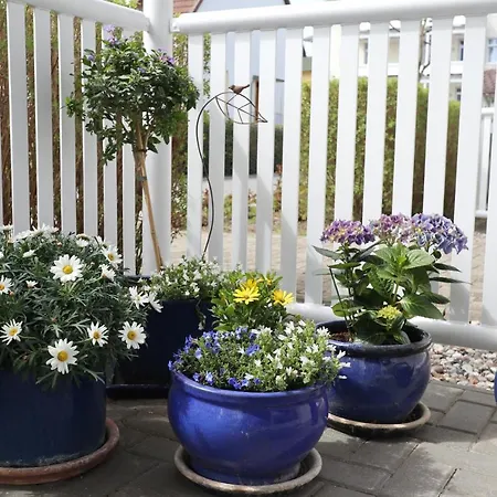 Karola, 8 アパート ゲーレン